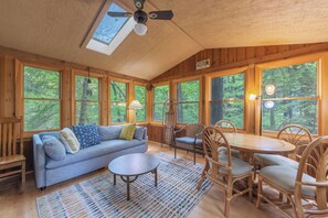 TV, fireplace, books