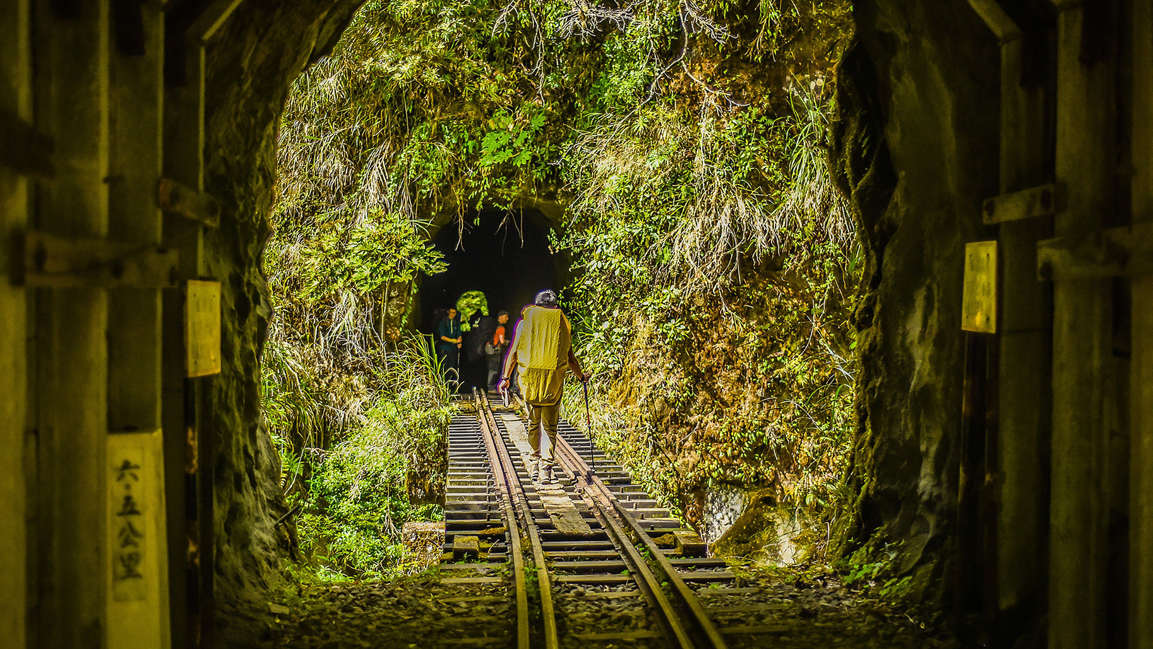 A railway tunnel with tracks and vegetation growing over them.