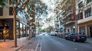 Una calle bordeada de árboles, con coches aparcados y edificios a ambos lados.