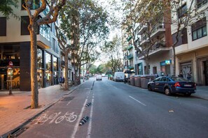 A tree-lined street with parked cars and buildings on both sides.