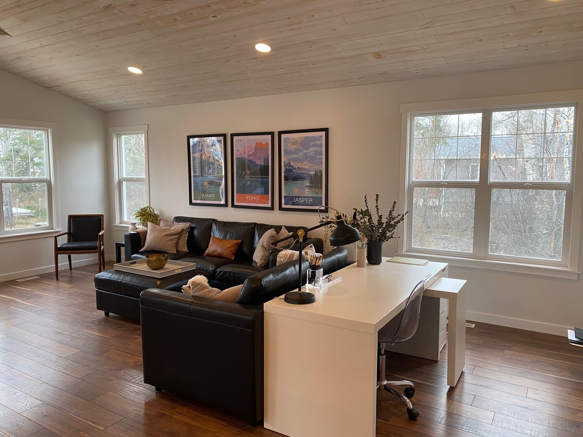 Videospil, dvd-afspiller