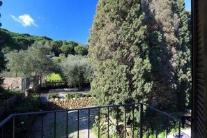 A garden with a stone wall, various trees, and a metal railing.
