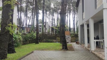 Sekalaista