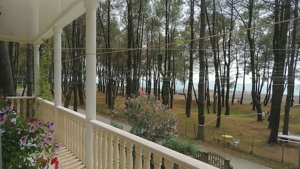 A covered outdoor area with a staircase leading down to a grassy area with trees.