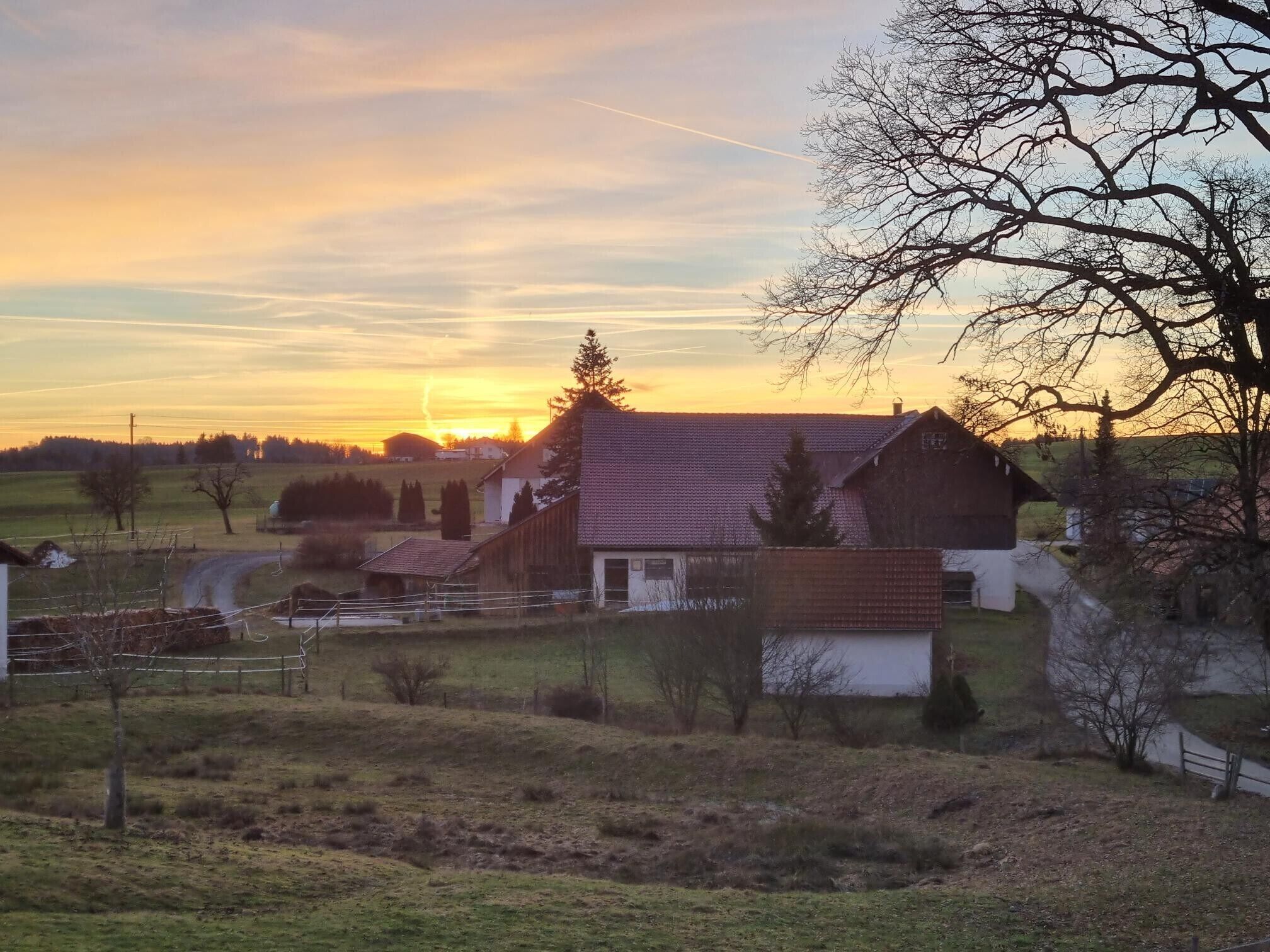Ländliche Landschaft mit einem Haus, einem eingezäunten Bereich und blauem Himmel.