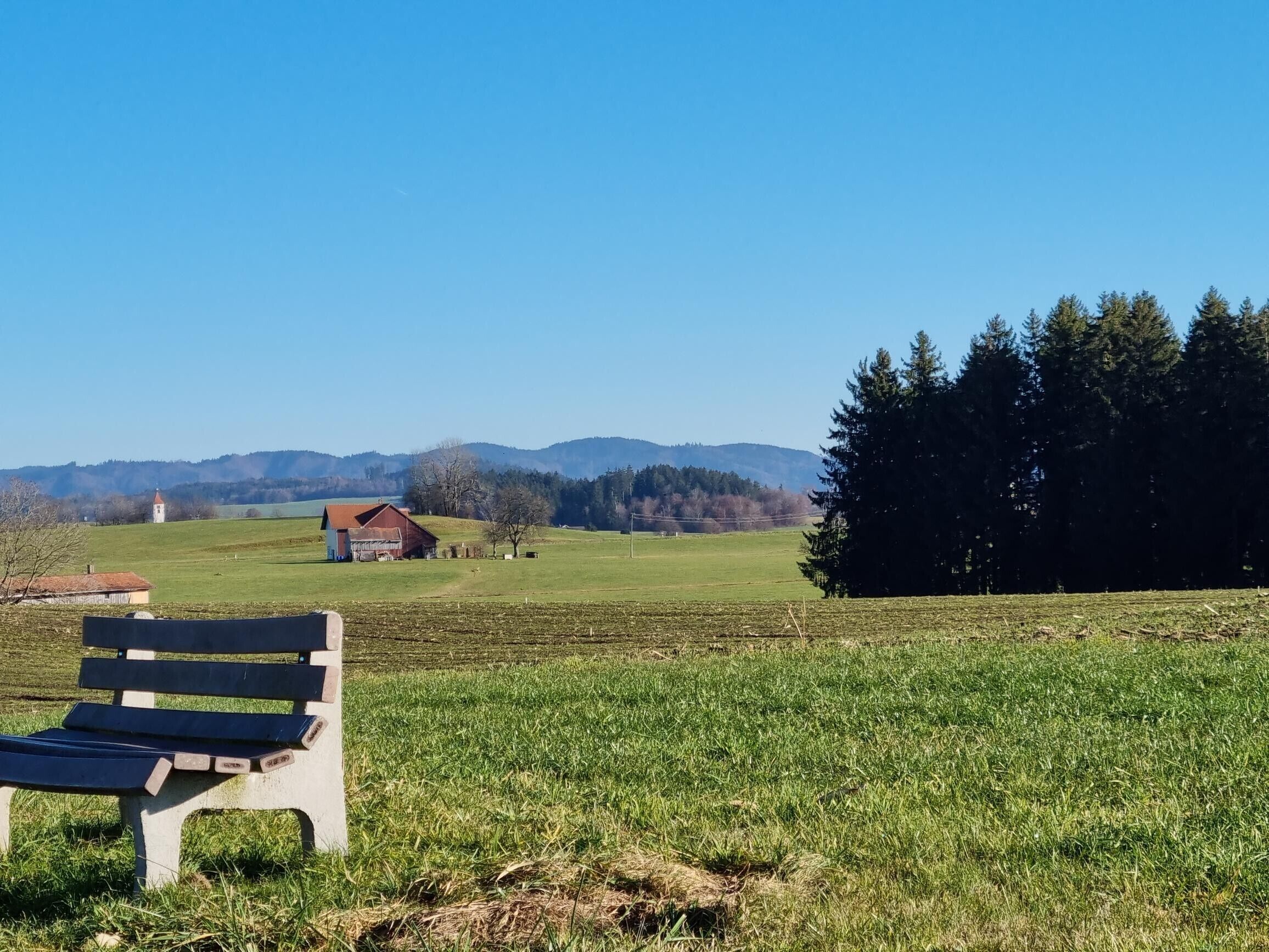 Un banc dans un champ verdoyant, d’où l’on a une vue dégagée sur un bâtiment et des arbres situés au loin.