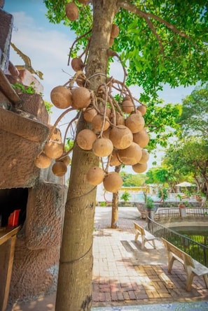 View from property - Caroline Resort (Ho Chi Minh City)