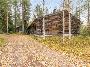 A log cabin with a wooden exterior, surrounded by a forest with tall trees and a path covered with fallen leaves.