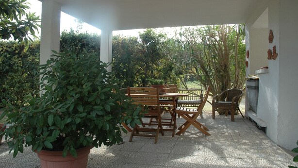 Un patio al aire libre con una mesa y sillas de madera, rodeado de plantas en macetas y una pared blanca con detalles decorativos.