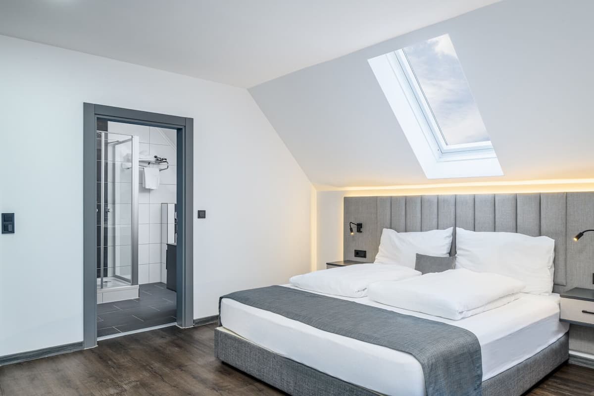 A modern bedroom with a skylight, a bed, a nightstand, and a walk-in closet.