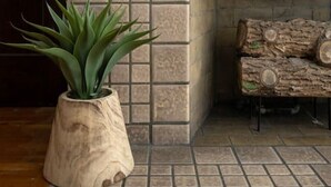 Een hoek van een kamer met een betegelde open haard, een houten bank en een potplant.