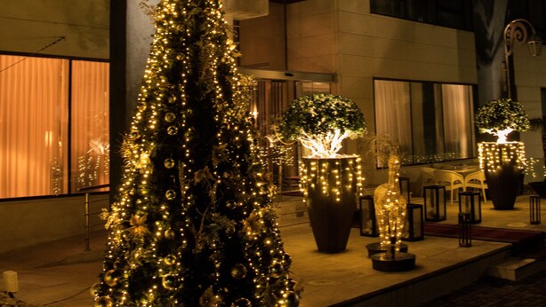 A hotel entrance with a lit Christmas tree and a sign that reads "SEAS HOTEL".