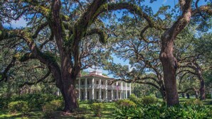 A large building with a symmetrical facade, surrounded by mature trees with extensive canopies. - Florida Cottage | Fenced yard| Serentiy Cottage | Hot Tub | Santa Rosa Beach (Santa Rosa Beach)