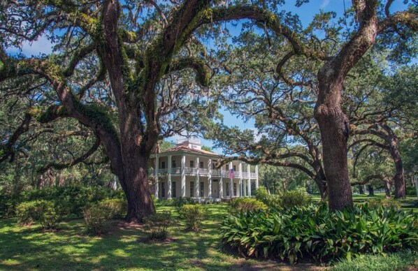 A large building with a symmetrical facade, surrounded by mature trees with extensive canopies.