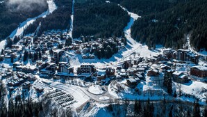 Uklassifisert bilde, 4 av 6, knapp