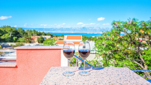 Two wine glasses on a table with a view of a mountainous landscape and a body of water in the background. - Apartments Kopi (Vir)