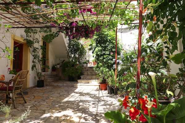 Jardin