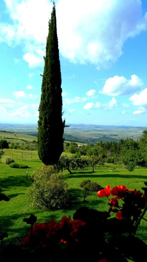 Property grounds - Casa Letizia nel parco della Val d'Orcia vicino a Terme e M. Amiata (Campiglia D'orcia)