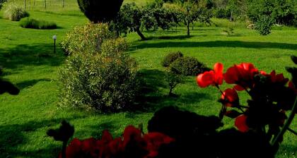 Casa Claudia in Val d'Orcia alle pendici dell'Amiata a due passi dalle Terme