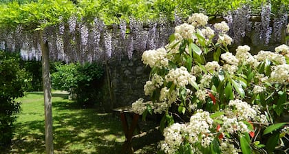 Casa Claudia in Val d'Orcia alle pendici dell'Amiata a due passi dalle Terme