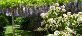 Casa Claudia in Val d'Orcia - alle pendici Monte Amiata, a due passi dalle Terme