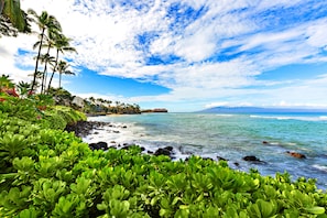 A tropical beach with lush greenery, palm trees, and a view of the ocean.