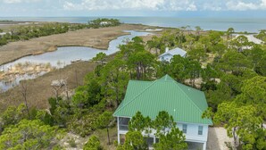 A coastal property with a green-roofed house surrounded by dense pine trees and a marshy area with a small pond. - Welcome to Waterbird Watch! (St. George Island)