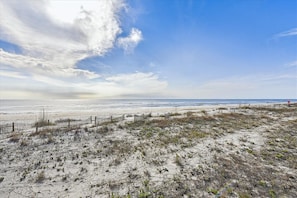 A beach with a wooden fence and sparse vegetation.