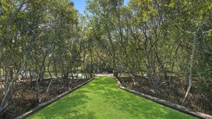 A pathway flanked by trees leading to a bench. - Spacious. Tropical. Waterfront. (Tuncurry)