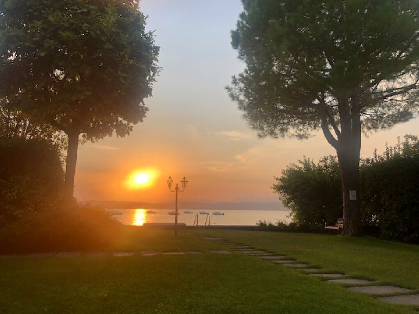 Un parque con un camino que lleva a una masa de agua, árboles y un atardecer.