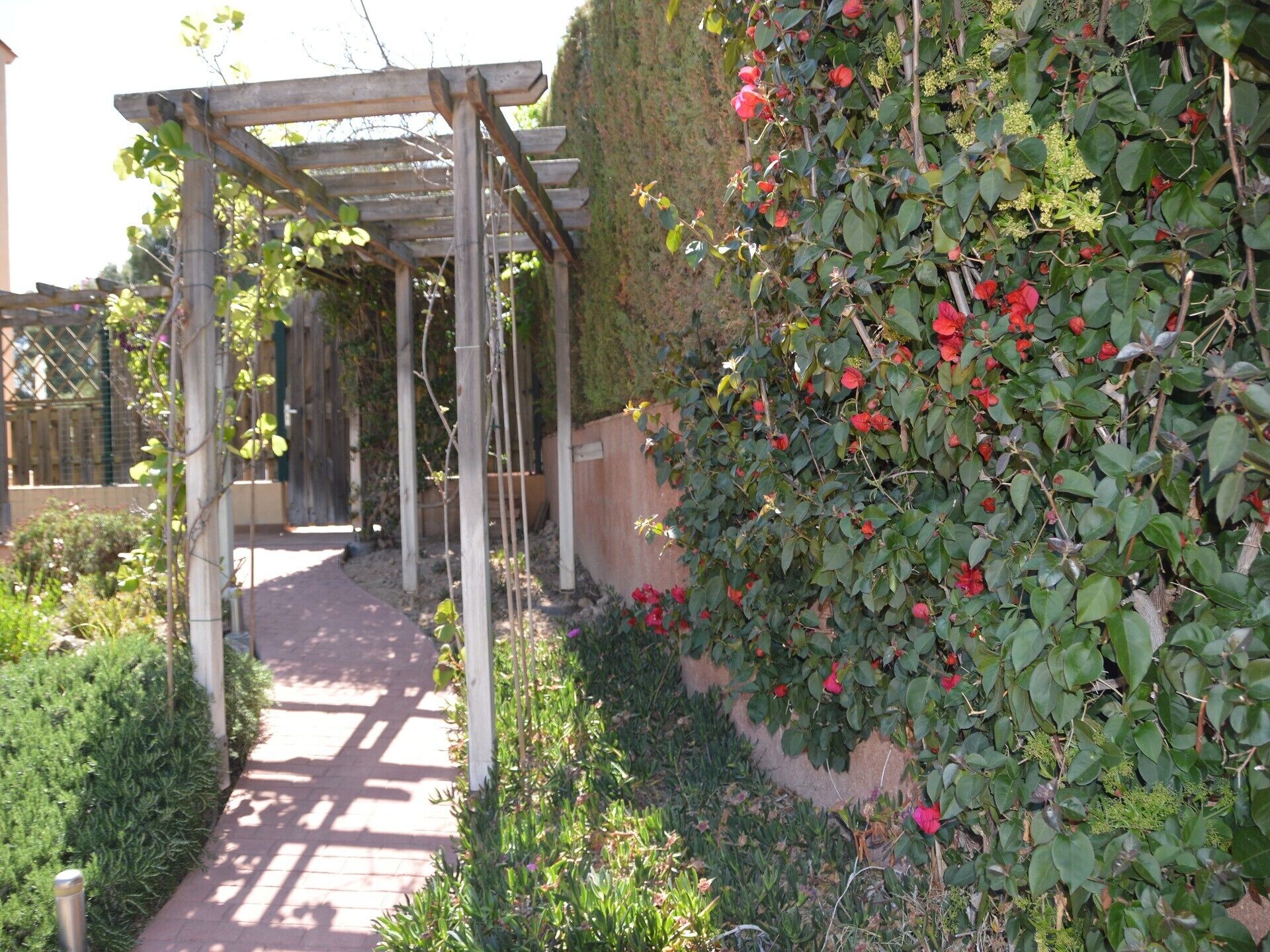 Overnatningsstedets område