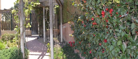 Overnatningsstedets område