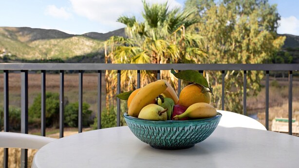 A bowl of fruit on a table with a view of hills and palm trees.