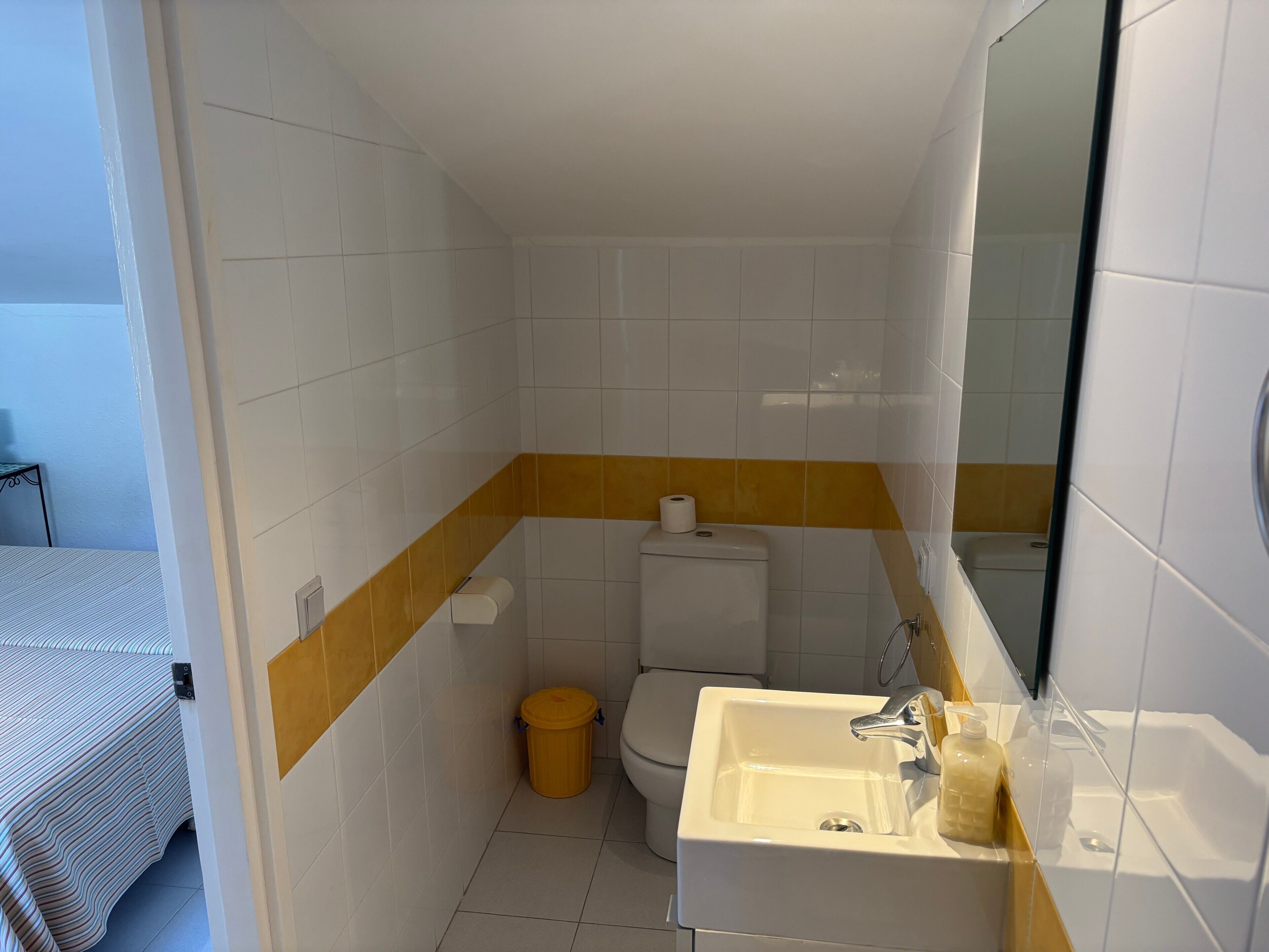 Un baño con inodoro, lavamanos y espejo.