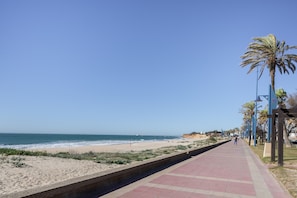 Uma passarela costeira com praia, palmeiras e céu limpo.