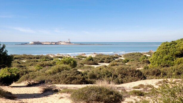 A coastal landscape with dense shrubbery, sandy terrain, and a distant view of a fortified structure by the sea.