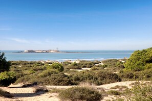 Un paysage côtier caractérisé par une végétation arbustive dense, un terrain sablonneux et, au loin, une vue sur une structure fortifiée au bord de la mer.