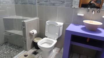 A bathroom with a glass shower enclosure, a toilet, and a sink with a basin.