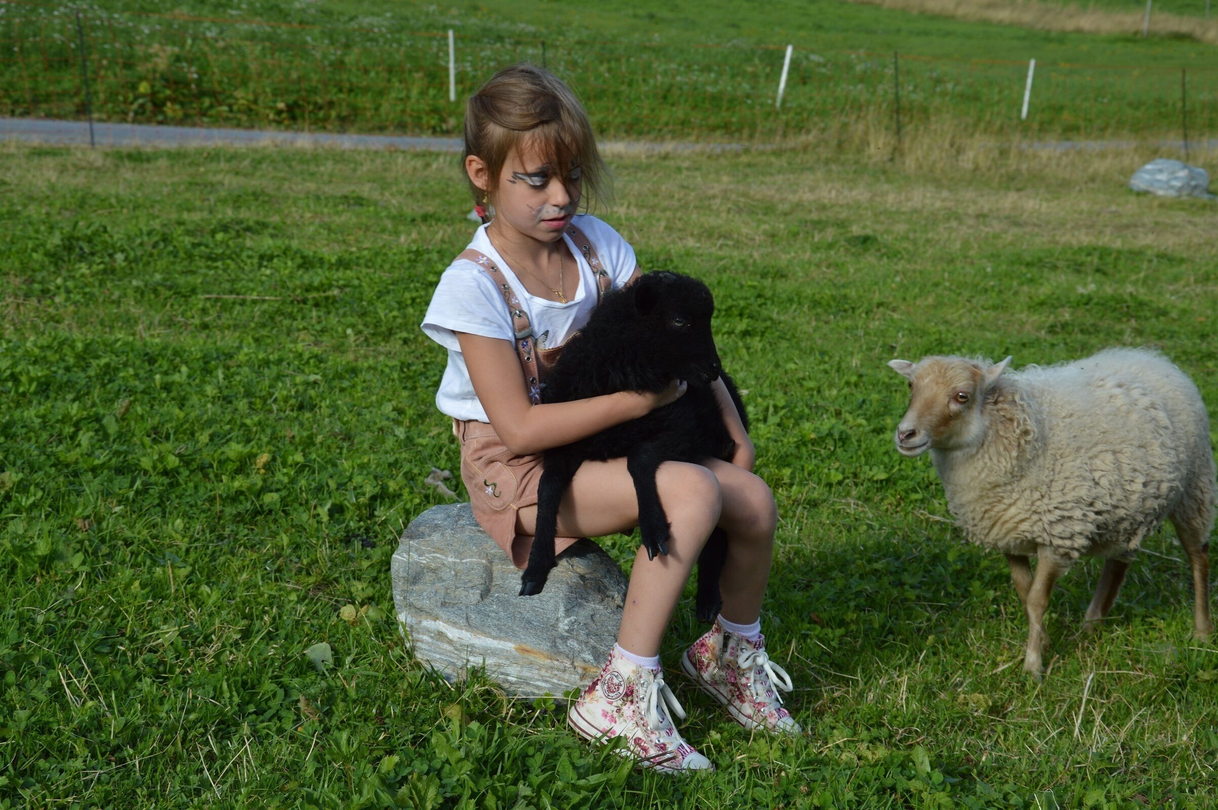 A person sitting on a rock with a black lamb and a white sheep in a grassy field.