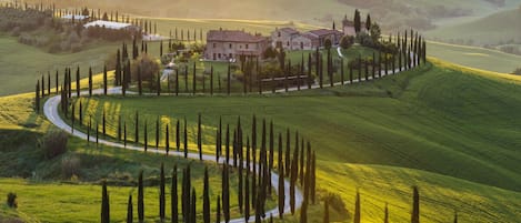 A rural landscape with rolling hills, a winding road, and a cluster of traditional stone buildings surrounded by rows of tall cypress trees.