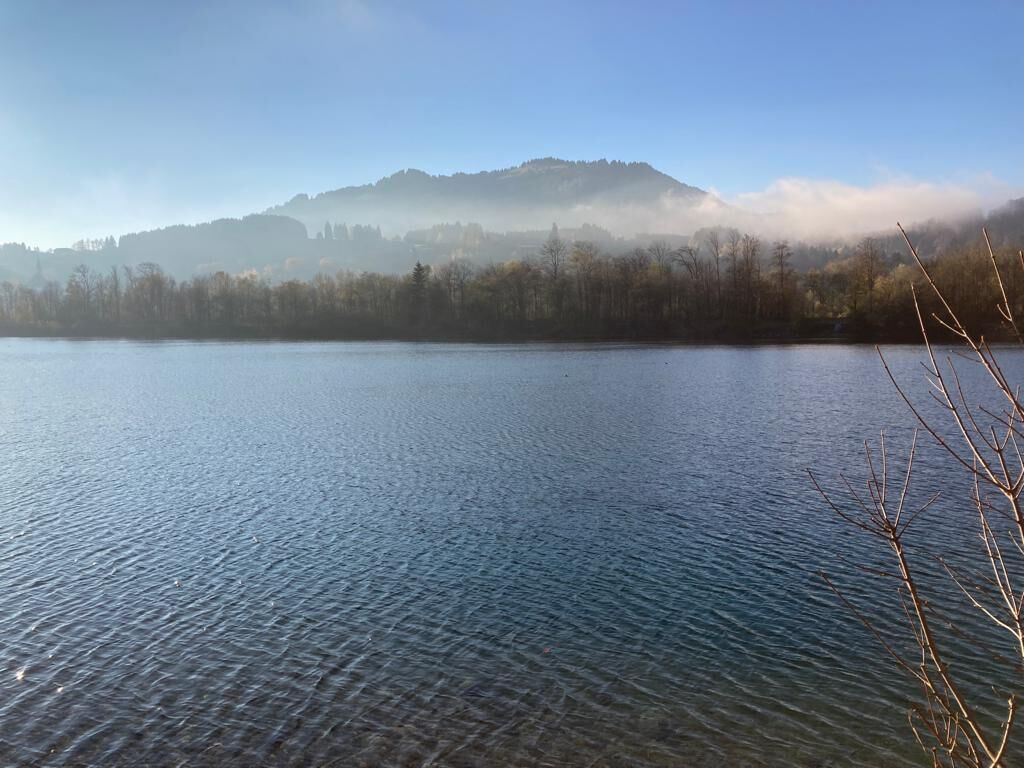 Un lago tranquilo con una colina boscosa al fondo.