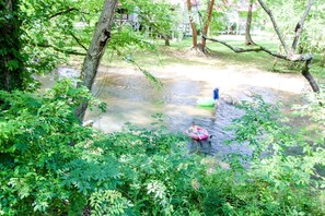 A natural setting with a small pond surrounded by dense greenery.
