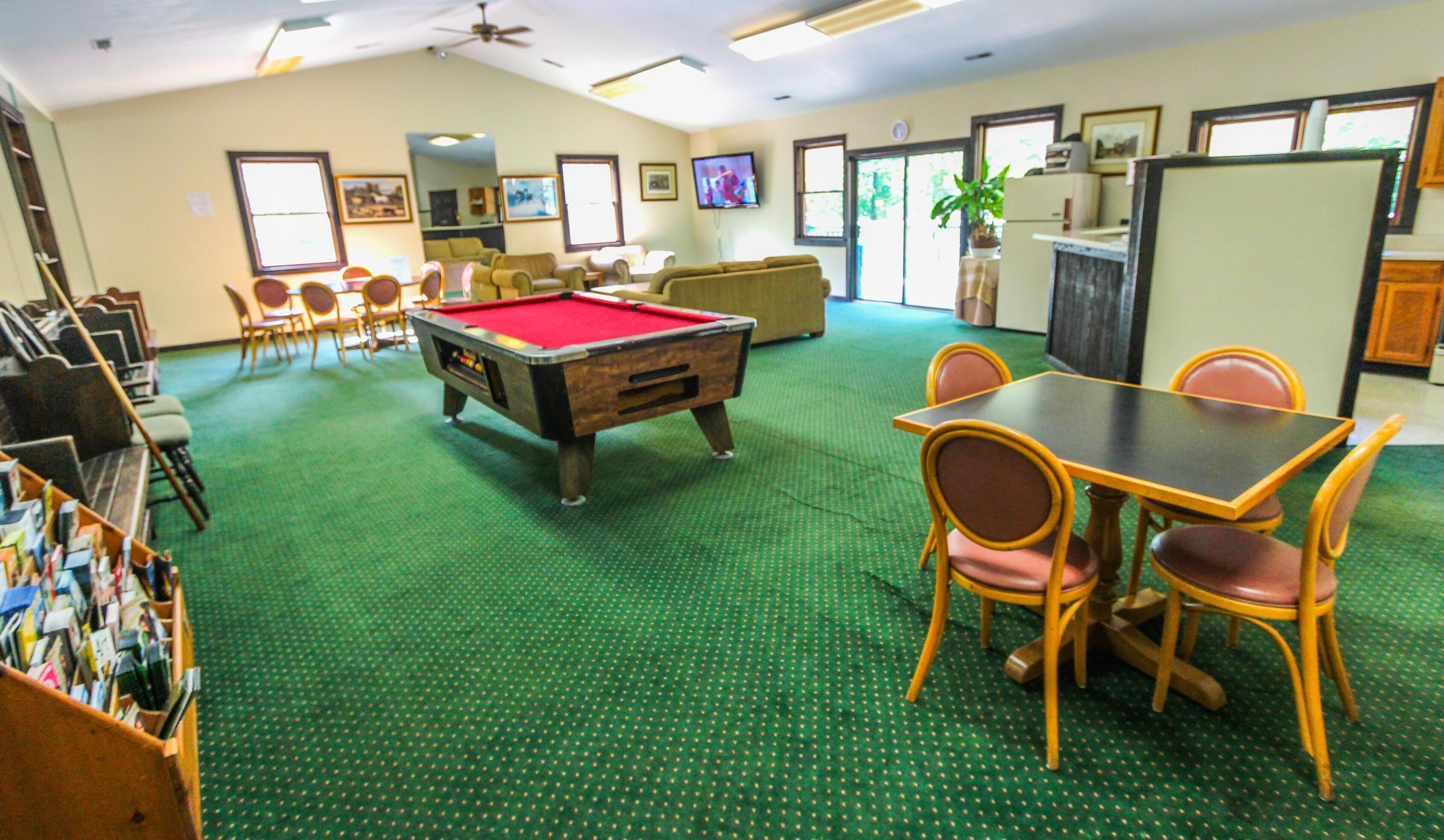 A pool table in a room with green carpeting, a sofa, and a television.