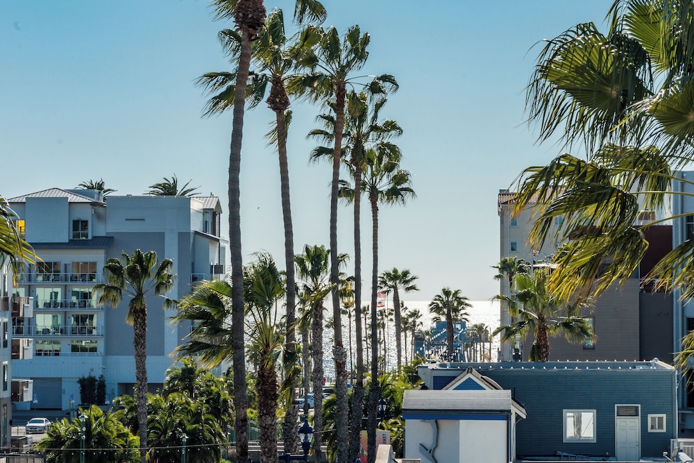 The Brick Hotel by null