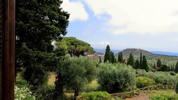 Appartamento | 2 camere