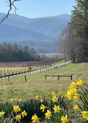 Property grounds - Mountain View Hideaway On A Golf course, Close To Downtown Gatlinburg, Sleeps 6 (Gatlinburg)