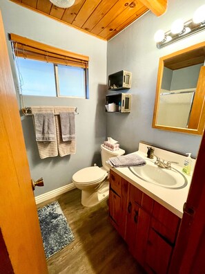 Shower, towels - Pinecone Cabin, Summer Special! (Big Bear Lake)