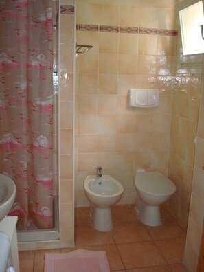 Ducha, secador de pelo, bidet, toallas