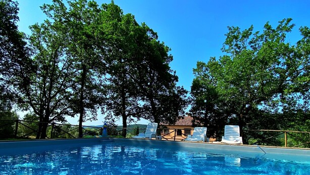 Une piscine d’un bleu éclatant, avec des chaises longues et des arbres en arrière-plan.
