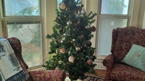 Uma sala de estar com árvore de Natal, poltronas estampadas e uma janela grande com vista para árvores.